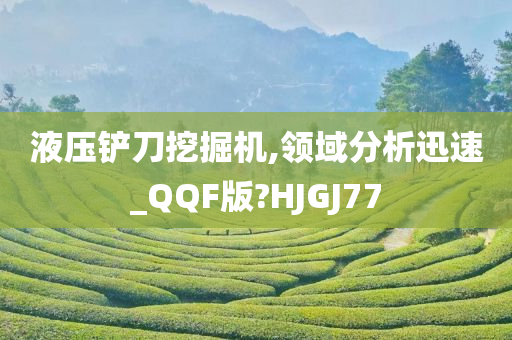 液压铲刀挖掘机,领域分析迅速_QQF版?HJGJ77