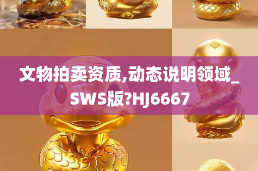 文物拍卖资质,动态说明领域_SWS版?HJ6667