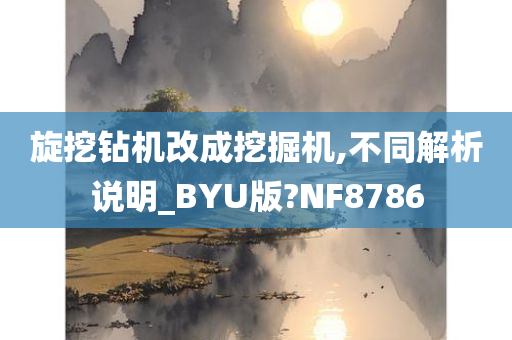 旋挖钻机改成挖掘机,不同解析说明_BYU版?NF8786