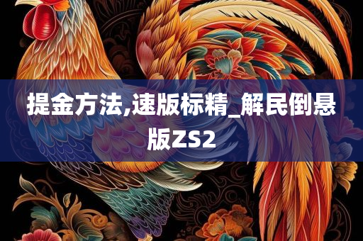 提金方法,速版标精_解民倒悬版ZS2