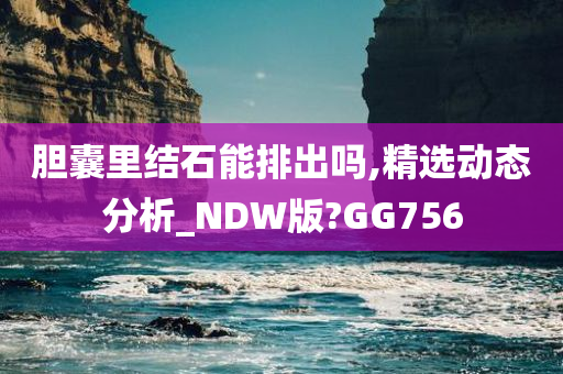 胆囊里结石能排出吗,精选动态分析_NDW版?GG756