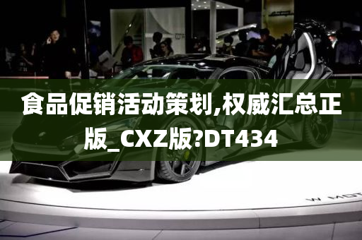 食品促销活动策划,权威汇总正版_CXZ版?DT434