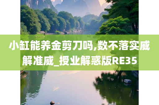 小缸能养金剪刀吗,数不落实威解准威_授业解惑版RE35