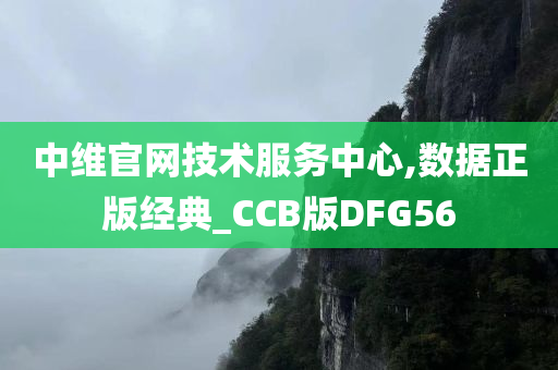 中维官网技术服务中心,数据正版经典_CCB版DFG56