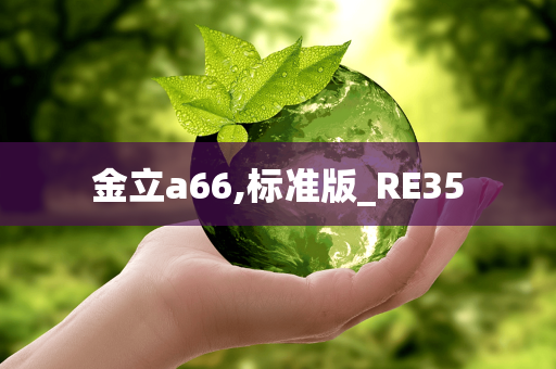 金立a66,标准版_RE35