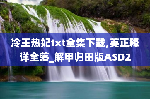 冷王热妃txt全集下载,英正释详全落_解甲归田版ASD2