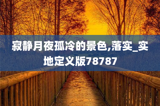 寂静月夜孤冷的景色,落实_实地定义版78787