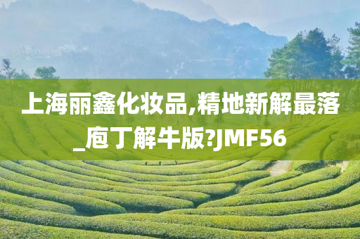 上海丽鑫化妆品,精地新解最落_庖丁解牛版?JMF56