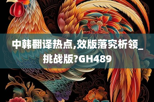 中韩翻译热点,效版落究析领_挑战版?GH489