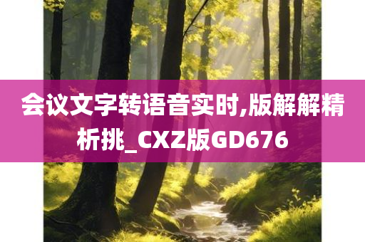 会议文字转语音实时,版解解精析挑_CXZ版GD676