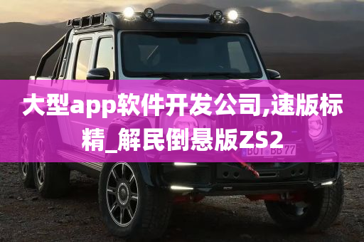 大型app软件开发公司,速版标精_解民倒悬版ZS2