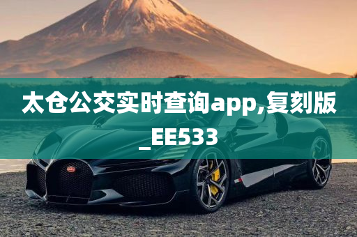 太仓公交实时查询app,复刻版_EE533