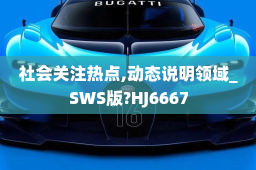 社会关注热点,动态说明领域_SWS版?HJ6667