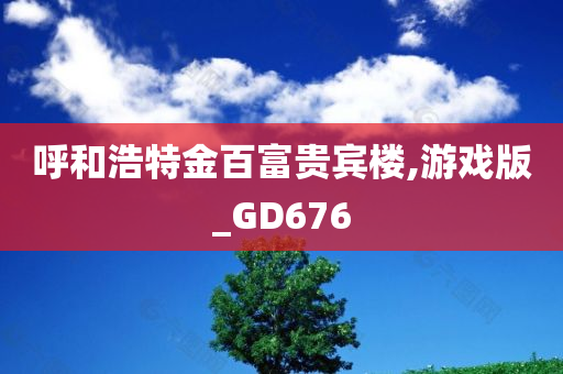 呼和浩特金百富贵宾楼,游戏版_GD676