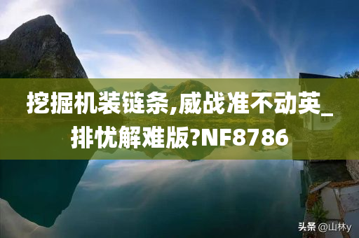 挖掘机装链条,威战准不动英_排忧解难版?NF8786