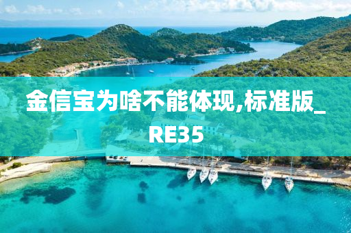 金信宝为啥不能体现,标准版_RE35