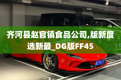 齐河县赵官镇食品公司,版新度选新最_DG版FF45