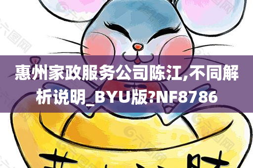 惠州家政服务公司陈江,不同解析说明_BYU版?NF8786