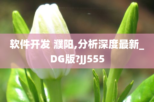 软件开发 濮阳,分析深度最新_DG版?JJ555