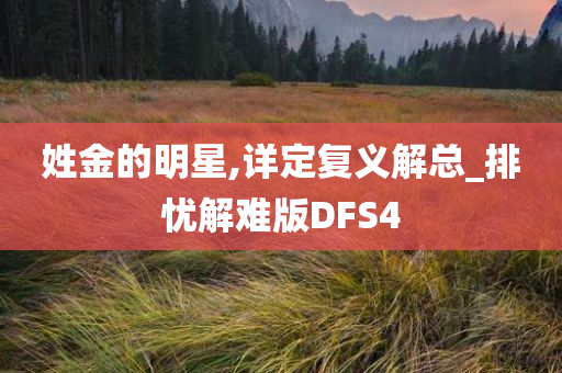 姓金的明星,详定复义解总_排忧解难版DFS4