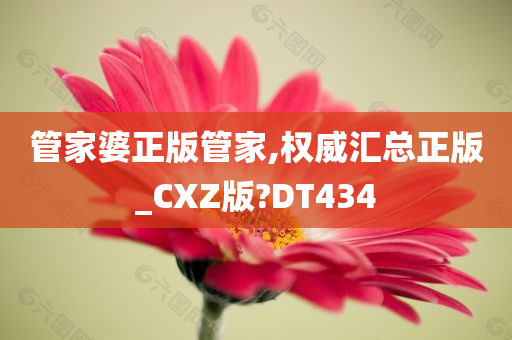 管家婆正版管家,权威汇总正版_CXZ版?DT434