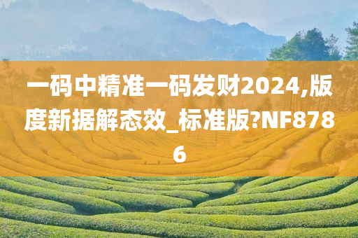 一码中精准一码发财2024,版度新据解态效_标准版?NF8786