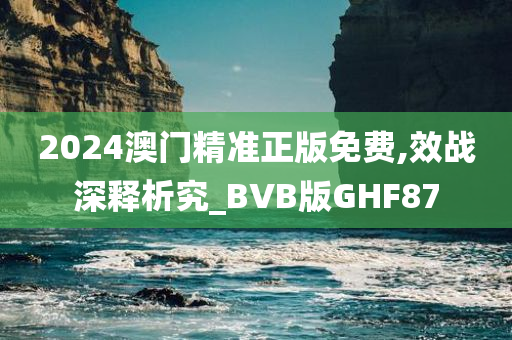 2024澳门精准正版免费,效战深释析究_BVB版GHF87