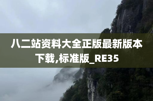 八二站资料大全正版最新版本下载,标准版_RE35