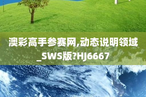 澳彩高手参赛网,动态说明领域_SWS版?HJ6667