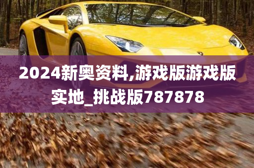 2024新奥资料,游戏版游戏版实地_挑战版787878