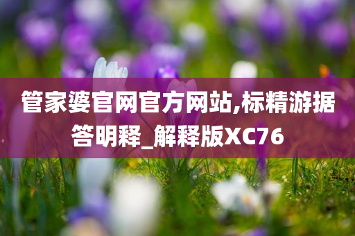 管家婆官网官方网站,标精游据答明释_解释版XC76