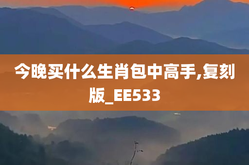 今晚买什么生肖包中高手,复刻版_EE533