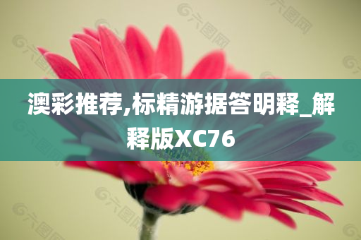 澳彩推荐,标精游据答明释_解释版XC76