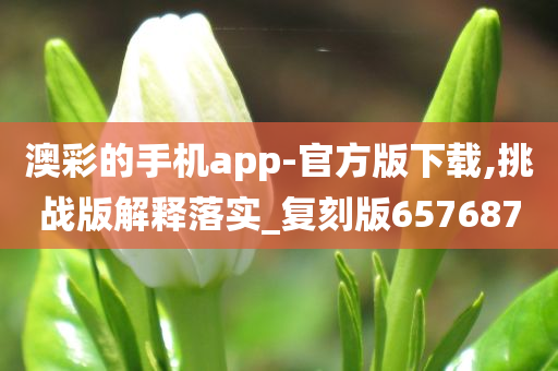 澳彩的手机app-官方版下载,挑战版解释落实_复刻版657687