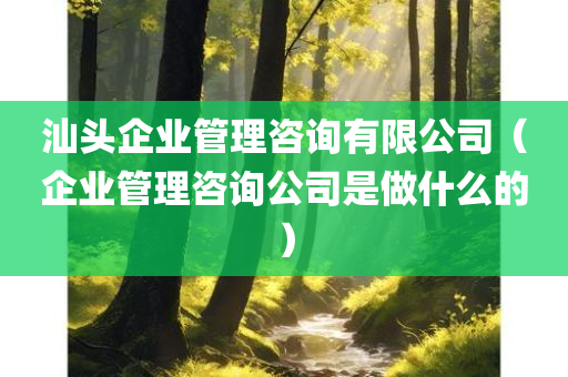 汕头企业管理咨询有限公司（企业管理咨询公司是做什么的）