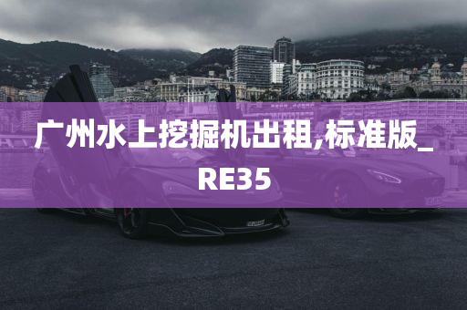 广州水上挖掘机出租,标准版_RE35