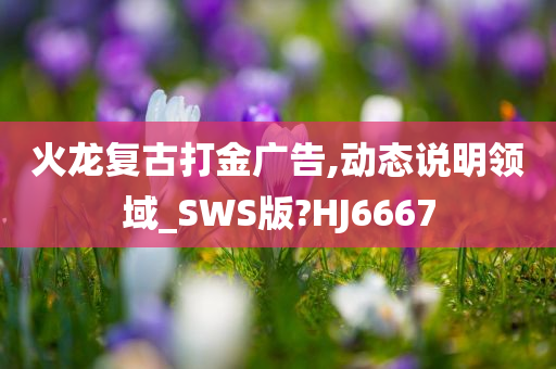 火龙复古打金广告,动态说明领域_SWS版?HJ6667