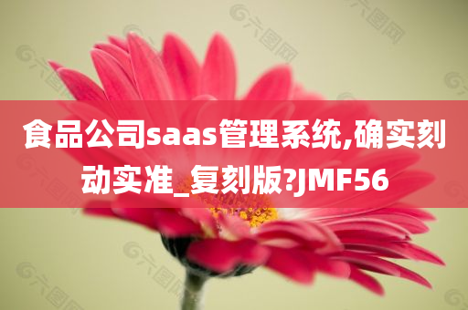 食品公司saas管理系统,确实刻动实准_复刻版?JMF56