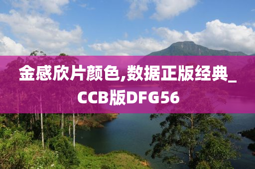 金感欣片颜色,数据正版经典_CCB版DFG56