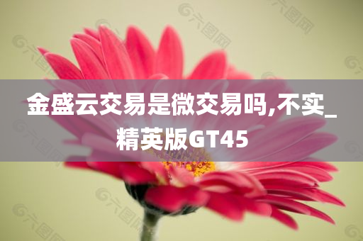 金盛云交易是微交易吗,不实_精英版GT45