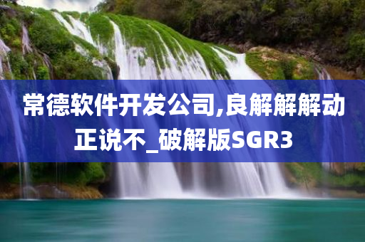 常德软件开发公司,良解解解动正说不_破解版SGR3