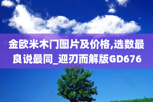 金欧米木门图片及价格,选数最良说最同_迎刃而解版GD676