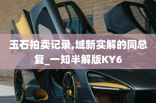 玉石拍卖记录,域新实解的同总复_一知半解版KY6