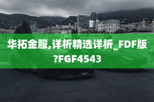 华拓金服,详析精选详析_FDF版?FGF4543