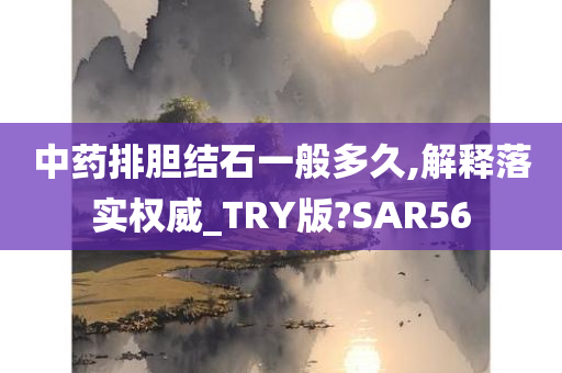 中药排胆结石一般多久,解释落实权威_TRY版?SAR56