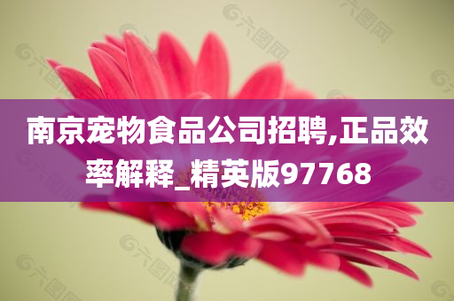 南京宠物食品公司招聘,正品效率解释_精英版97768