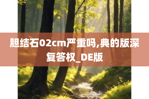 胆结石02cm严重吗,典的版深复答权_DE版