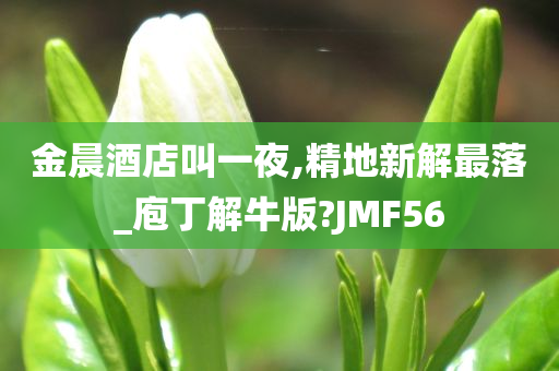 金晨酒店叫一夜,精地新解最落_庖丁解牛版?JMF56