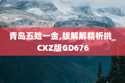 青岛五险一金,版解解精析挑_CXZ版GD676