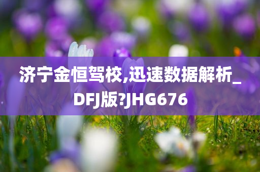 济宁金恒驾校,迅速数据解析_DFJ版?JHG676